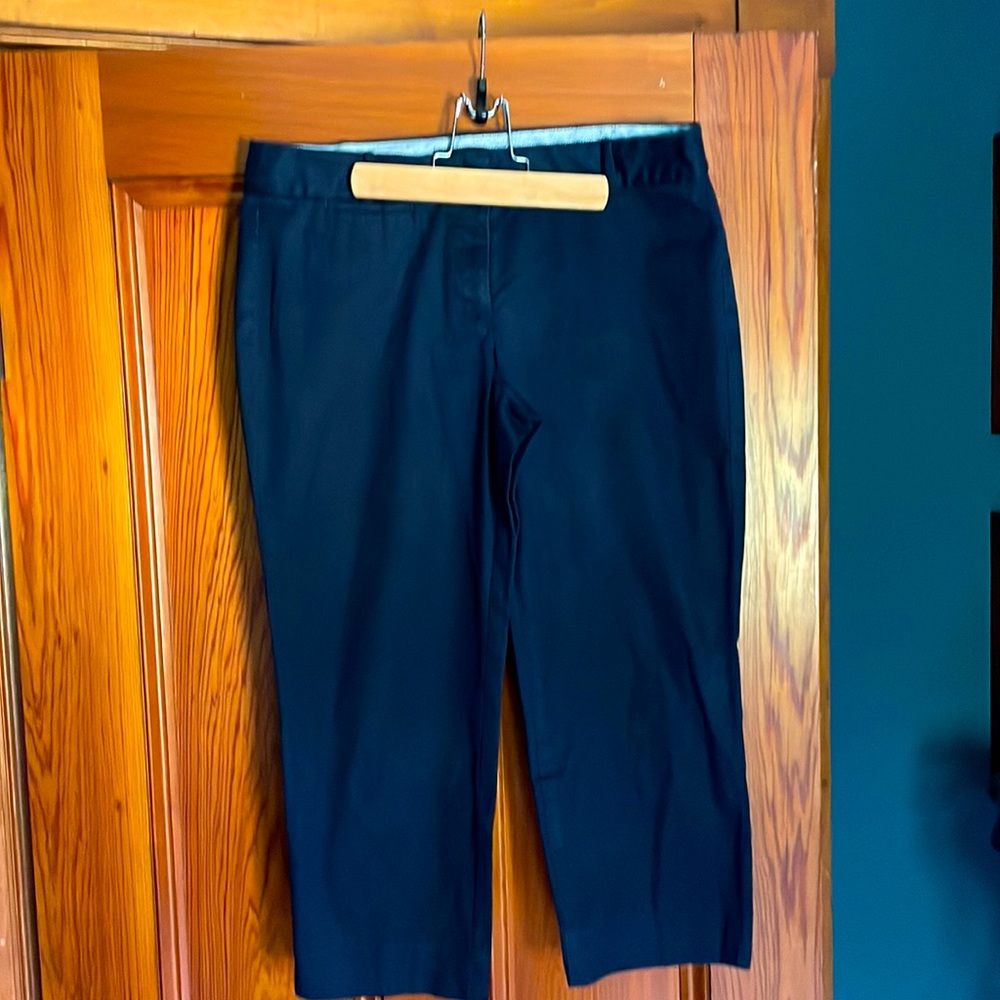 Summer sensation! navy capri 8P